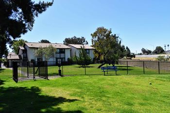 Dog park